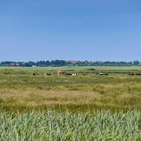 C11758-hemmet-kosigvaenget-27 Semesterbostad